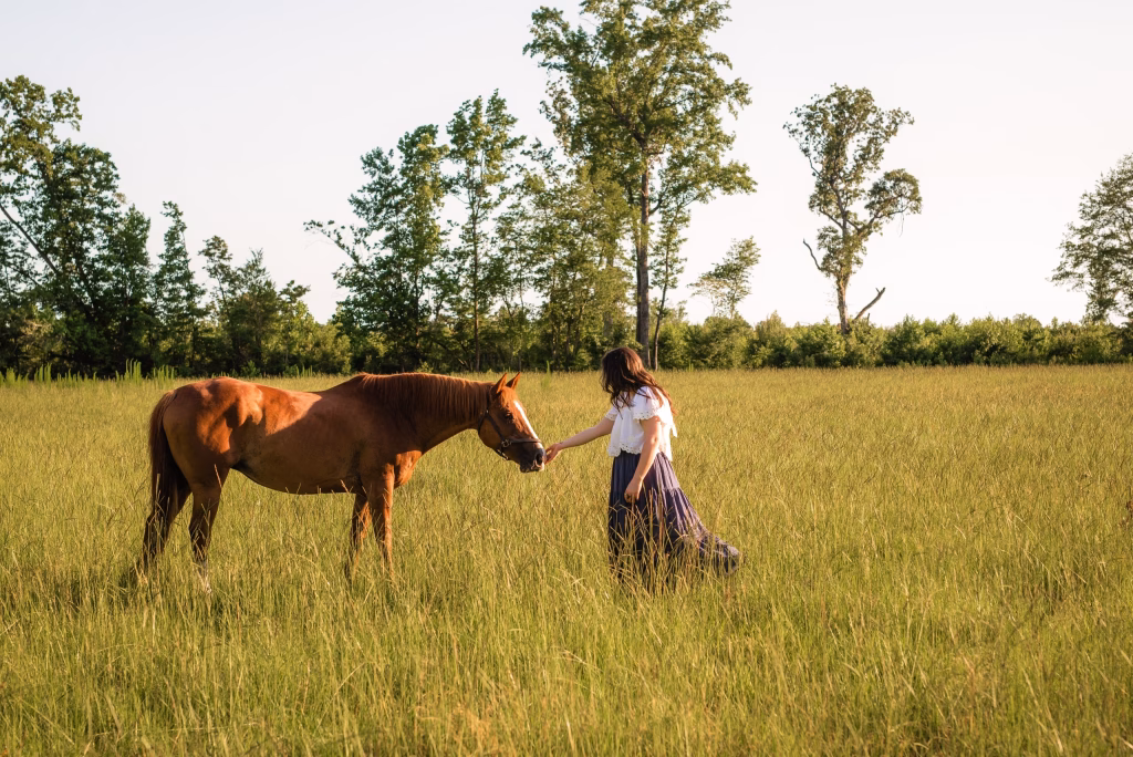 Erin is going up to a horse with her hand extended to the horse's nose.